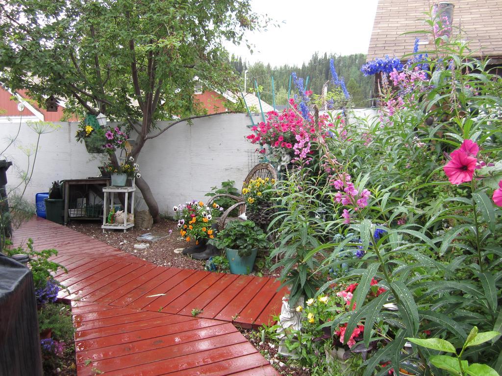 Casey'S Bed & Breakfast Whitehorse Zimmer foto
